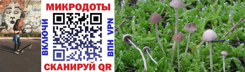 Галлюциногенные грибы MAGIC MUSHROOMS гидра сайт Сысерть